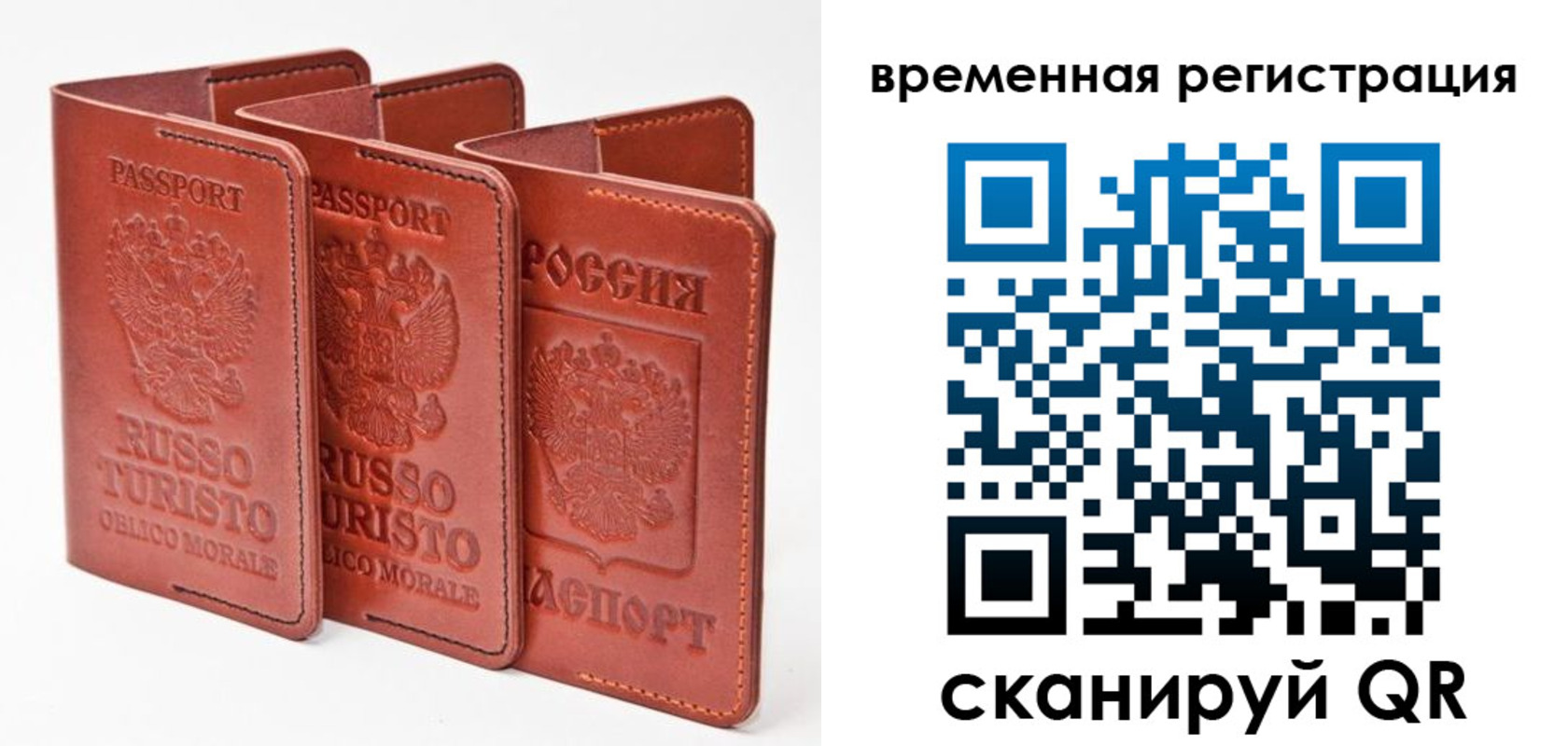 прописка 2025 в Пионерском